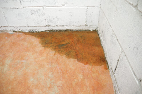 Common Causes of Slab Leaks and How to Prevent Them | AZ Family